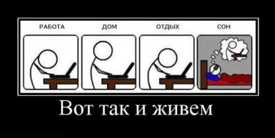  Разработчики игр в наше время