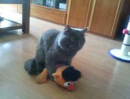 и реальность: