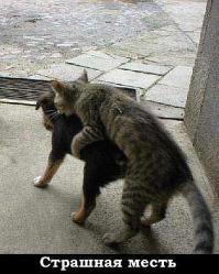 Добрейший пост о самом важном 