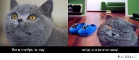 В предверии  Нового года