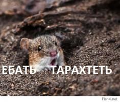  Не делайте, девушки, пластику!