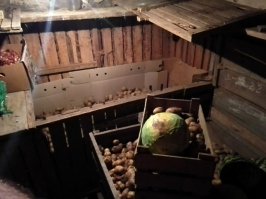 +120 вёдер картошки (12л) и капусты и лука там  всякой разной херни дохохера.+ящик сала и морозильник ларь 350л мясом полный. И т.д.