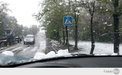 Планета нервничает. В Семипалатинске 20 мая снег валил 3 часа. Зимой за раз столько не выпадало.