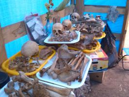 и ещё как 2002год,Чугунов расскапывает курган Аааржан 2 (рспублика Кызыл) и находит 22 килограмма золотых украшений..
 И вообще перед всеми глобальными стройками идёт археологическая работа, я в этом году сам вернулся из экспедиции под Кызылом, у нас то же много находок бронзового века, скифские поселения... Если надо ,могу попытаться сделать фишку  о охранной археологии