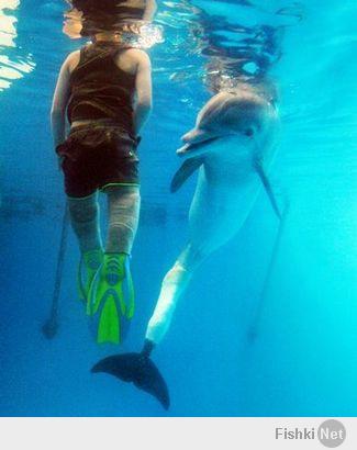 Мальчик без ног подружился с дельфином без хвоста