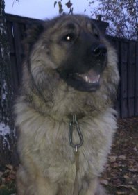 Мой пуховик)