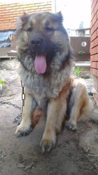 Мой пуховик)