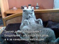 13 убедительных причин завести кошку -- куда нибудь подальше.
Читая этот опус, складывается чувство, что весь остальной животный мир, по с равнению с кошками, неполноценен.
Если и заводить кошку, то только обычных пород, мышеловов. Хоть толк будет. А все эти «элитные» породы, холёные нарциссы - эти самодовольные бездельники, не дающие тебе покою при пустом животе и "ложащие" на тебя по полной, если нажрались и сладко спят (хоть зови, хоть не зови...) не стоят внимания. Тунеядцы, высокомеры, воры … - и ещё много подобных эпитетов можно смело приложить к этим хвостатым.
Да, что то в них есть, но им, как до Луны, далеко до настоящего друга – собаки, которые не лицемерят и не торгуют своими чувствами в угоду желудка и настроения.