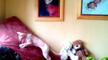 Без них жизнь ,была бы такая пресная такая пресная. :)