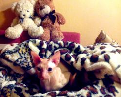 А зря вы исключаете другие варианты!