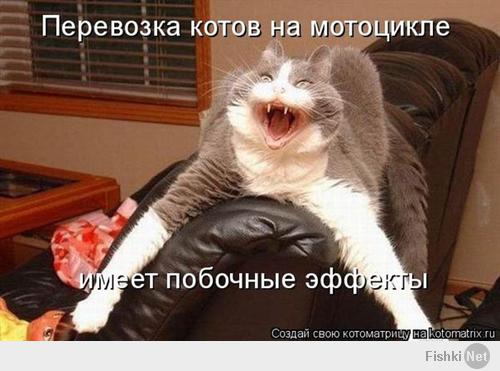 Фишкина солянка за 13.01.2014