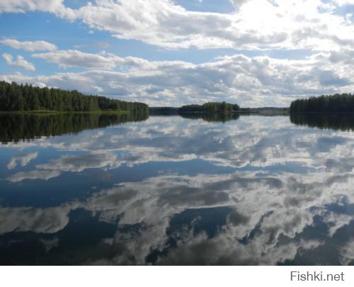 Озеро Верято, река Великая. Псковская губерния. Этим летом.