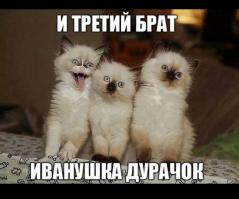 Фишкина солянка за 20.05.2014