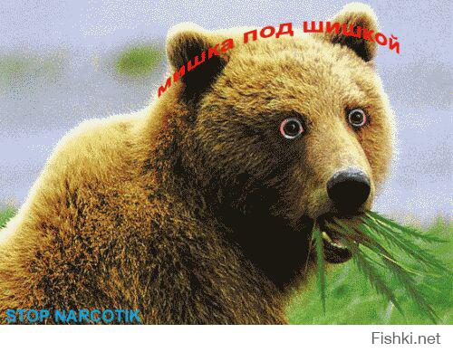 Большой подарок девушке