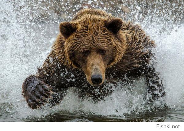 А это, похоже, ещё и последний кадр фотографа