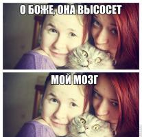 Фишкина солянка за 21.08.2014