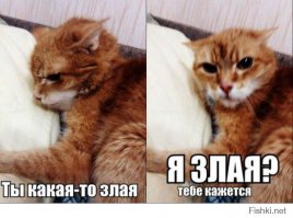 Смешные комментарии из социальных сетей 29.12.14