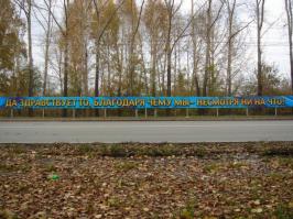  Картинки со смешными подписями