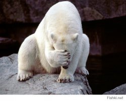 Подлодка «Владимир Мономах» вошла в состав ВМФ 