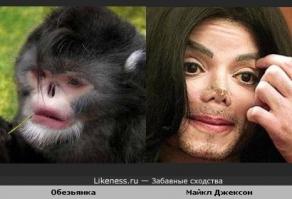 Животные с самыми странными особенностями тела 