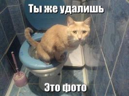 у нас только коты встречаются, к счастью...