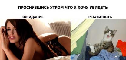 Ожидание и реальность