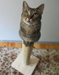 нет уж без меня