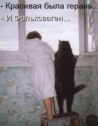 ....и шкодят на пру с младшими хозяевами...