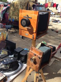 блошинка она везде блошинка....... снимала в 2014 Салтыковка Балашиха МО