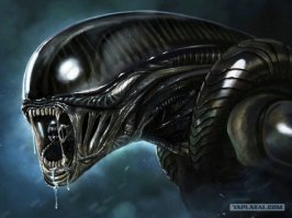 Оптические иллюзии с животными