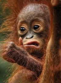 Подборка кубиков