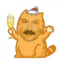 Очень забавный кот