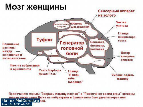 Фишкина солянка за 07.01.2014