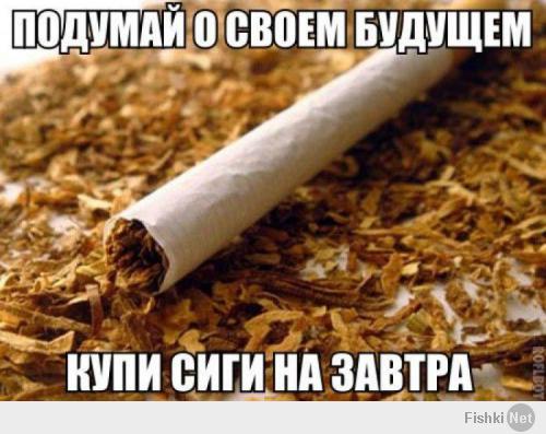 Фишкина солянка за 13.01.2014