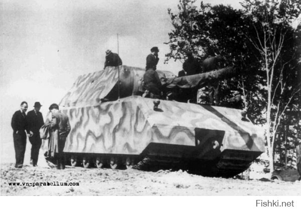 Маус - сверхтяжёлый танк, спроектированный в Третьем рейхе. Является самым крупным по массе танком из всех, когда-либо воплощённых в металле (боевая масса — 188 тонн). Было построено всего два экземпляра машины. 
Дальнейшие работы по выпуску десяти серийных танков были прекращены по указанию самого Гитлера, так как у Германии не хватало производственных мощностей для выпуска других, более важных видов оружия.
Масса более 180 тонн исключала возможность перехода «Мауса» через реки по автодорожным мостам. Поэтому предполагалось переправлять танки попарно по дну реки. При этом загерметизированный, без экипажа, «Маус» получал по кабелю управление и электропитание для движения от другого «Мауса» на берегу.

В бою эти танки испытаны не были. В апреле 1945 года, при приближении частей Красной Армии к полигону, немцами было принято решение уничтожить прототипы ввиду невозможности их эвакуации.