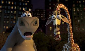 Жираф устроил побег из зоопарка Мексики