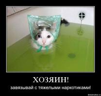 Нда, люди засевшие плотненько на нарКотиках =)