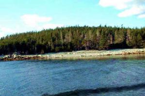 Hemlow Island. Цена — $29,5 тыс.
Новая Шотландия, Канада

Площадь всего острова — 21 га, однако по такой стоимости можно купить только его часть – 0,8 га. В начале 1900-х годов остров был заселен. Здесь проживало небольшое количество жителей, а также была школа и продуктовый магазин.