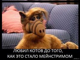 Мужчина построил «котвариум» для замерзающих котов