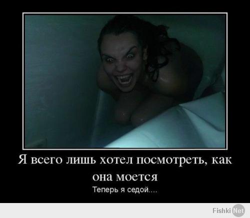 Фишкина солянка за 29.05.2014