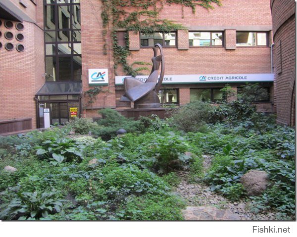 Киев! Наши дни!