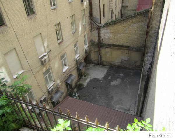 Киев! Наши дни!