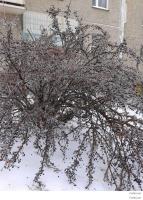 Ледяные фото