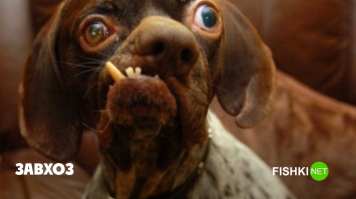 Завхоз убил!))))