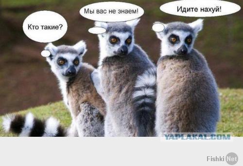 Правильные парни