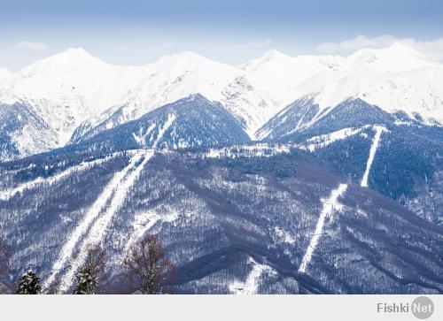Немного от туда же за неделю до олимпиады