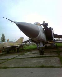 Вспомнилось. Фото со плохонькой камеры Nokia, как теперь уже кажется далекого 2004. Очень большой. Для сравнения - мой рост 175.