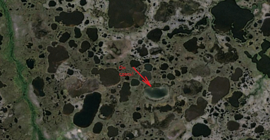 Интересно, как их туда занесло...