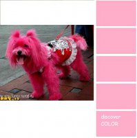 Вот и я о том же...
Смотри-ка как заступники минусуют...)))