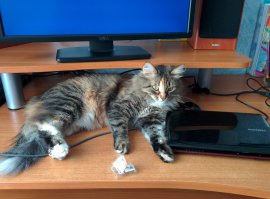 В августе будет 3 года.